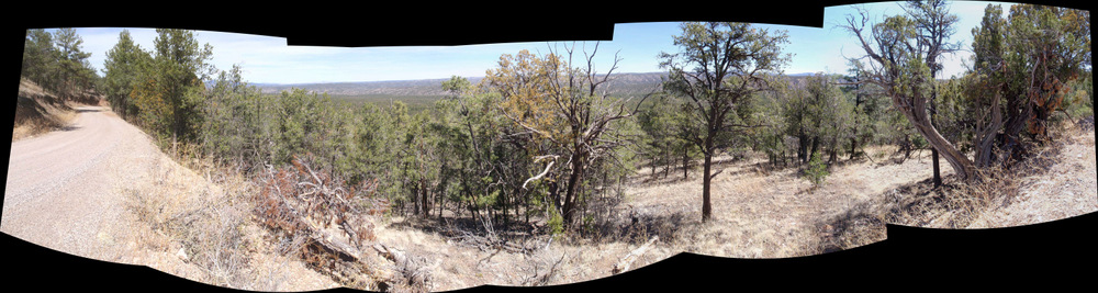 The beginning descent into Diamond Creek Valley.